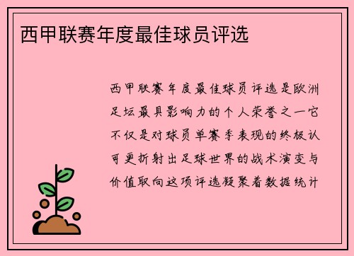 西甲联赛年度最佳球员评选