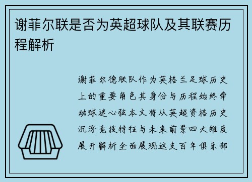 谢菲尔联是否为英超球队及其联赛历程解析
