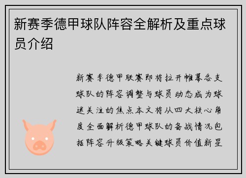新赛季德甲球队阵容全解析及重点球员介绍